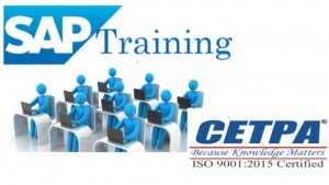 Best SAP Training Institute in Noida