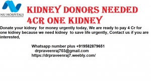 exchange kidney with cash