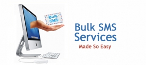 Bulk SMS India promotional & Transational  SMS services