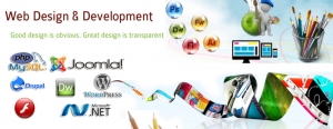 Website Design & Development Company in Aurangabad, India