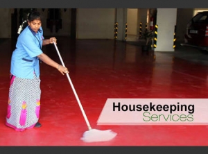 Housekeeping cleaning services & Fire fighting Services.