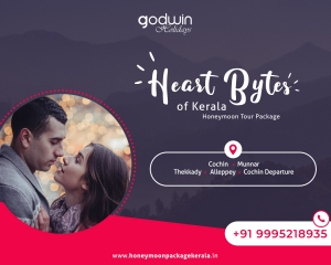  Top Honeymoon Tour Operators In Kerala | Godwin Holidays