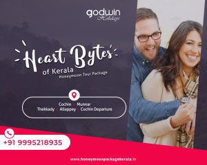 Godwin Holidays | Best Honeymoon Tour Operators In Kerala