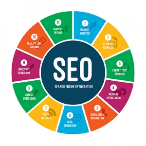 Being the reputed seo service company in Mumbai , Digilers s