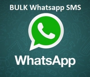 Mobile Bulk whatsapp services in pune, delhi