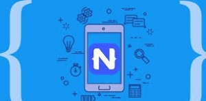 Hire NativeScript Developers