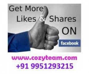 Provide 1000 permanent facebook likes
