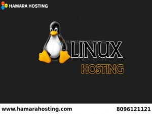 Linux Web Hosting Hyderabad