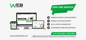 Web Development Company India | Web Destiny