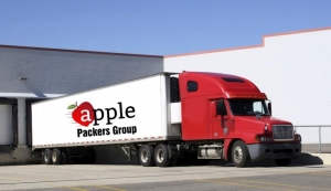 INDIA APPLE PACKERS AND MOVERS 