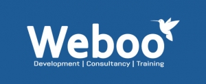 Creative and Responsive Business Website at Free | Weboo Tec