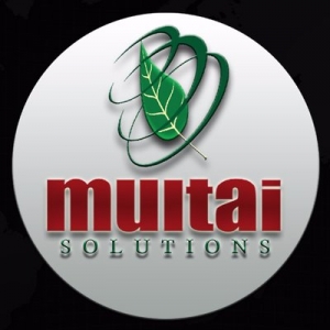 Multai Solutions Offering Best Website Designing services