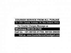 DHL Courier Company in Ludhiana to USA Canada U.K Australia 