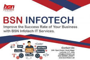 Software Development Company in Lucknow | BSN Infotech