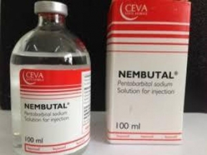 Nembutal sentobarbital sodium without wrescription now
