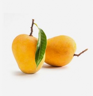 Buy Ratnagiri Hapoos Mango Online in India | Alphonso Mangoe