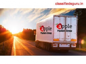 GUJARAT APPLE PACKERS AND MOVERS 