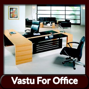 Hire the best Vastu consultant for reducing office problems 