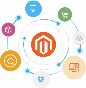 Hire Magento Developer at an Affordable Rates in India