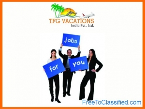 Part Time Work With TFG A Leading Tour &Travel Company - Gur
