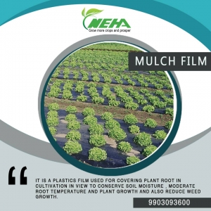 Looking For Mulch Film Suppliers in India? Neha Shadenet is 
