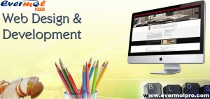 Website development company in Noida