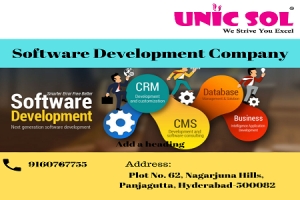Software development Company