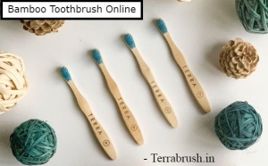 Buy Bamboo Toothbrush at best price
