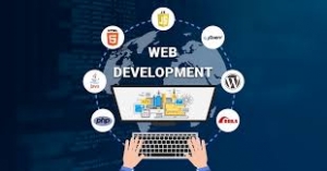 Best Website Development Company in India 