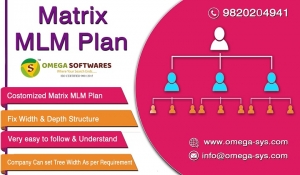 Best Matrix MLM Plan Software in Gujarat at affordable cost