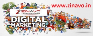 Zinavo-SEO & Digital Marketing Company