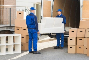 Packers and Movers in Korba