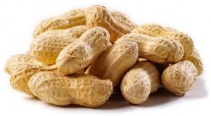 RajExim | Exporter of Peanut  in India
