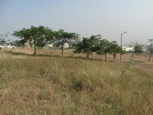 Well Developed Bungalow Plots available in katraj