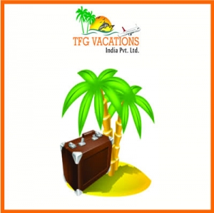  Part Time Work TFG-A leading Tour & Travel Company