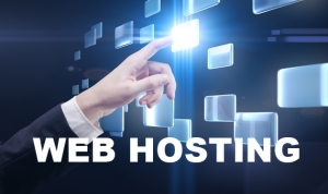 Web Hosting - Business Email Hosting - Domain name registrat