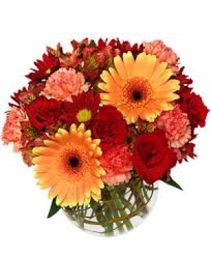 OyeGifts - Send Flowers Online In Faridabad