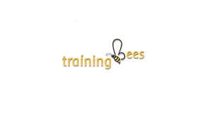 SAP simple logistics online training @ trainingbees.com