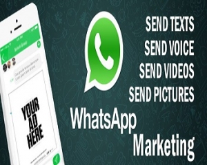 whatsapp sender software