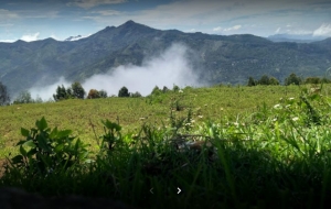 DTCP approved Residential Plots for sale at Kodaikanal