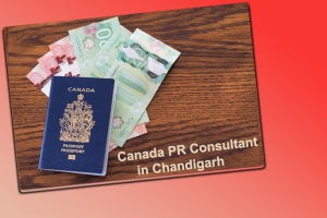 How to approach for Canada PR Consultant in Delhi?
