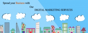 NST is the leading Software Company and Digital Marketing ag