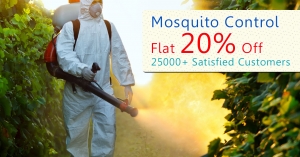 Long-lasting mosquito control treatments in Whitefield Banga