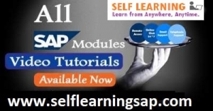 SAP all Modules video classes are Available @ Best Price.