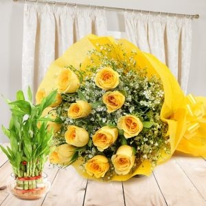 Gifts are easily available In Hyderabad via Online