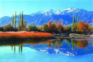 Best Delhi to Shimla Manali Holiday Honeymoon Tour Packages