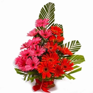 Send Flowers to Kolkata via OyeGifts
