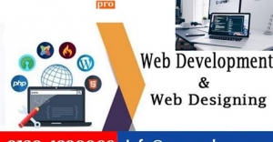 website development company in noida 