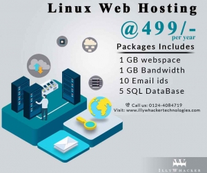 Linex Web Hosting services at Just Rs.499