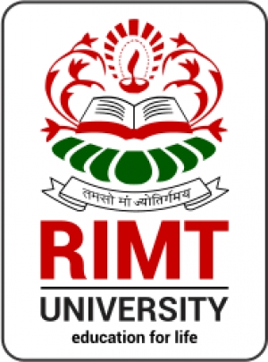 Mba In Digital Marketing at RIMT University in Punjab